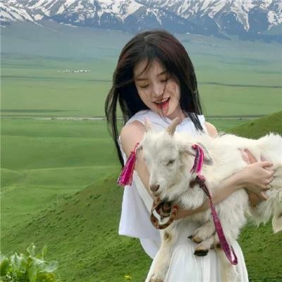 玉面威龙 海报